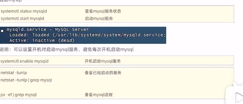 image-20240513204901071